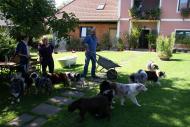ausflug_zum_ermahof_2010_016