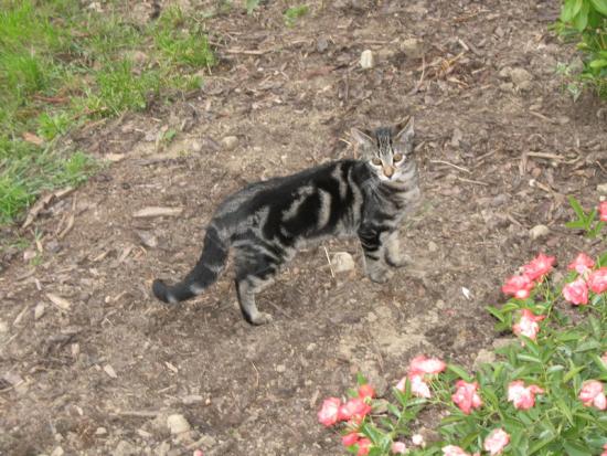 rocky_04
